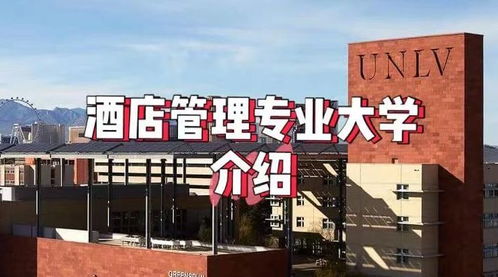 瑞士之外，顶尖酒店与餐饮管理专业院校推荐